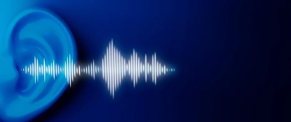 How to Calculate the Real ROI of Voice AI in Contact Centers