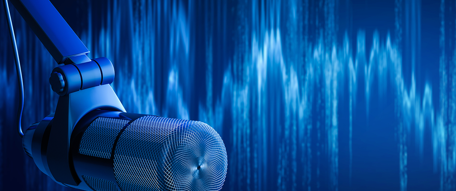 Biggest ROI from Voice AI