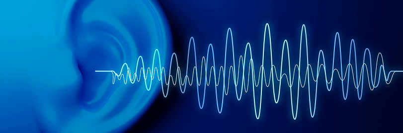 Voice AI for customer support