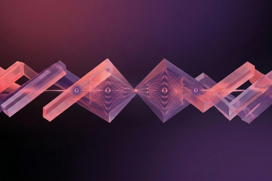 Multilingual Voice AI - Hinglish